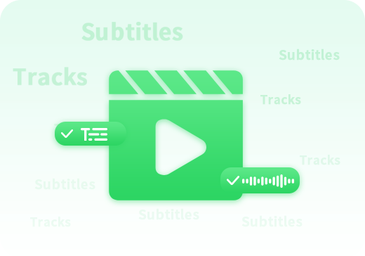 keep subtitles and audio tracks