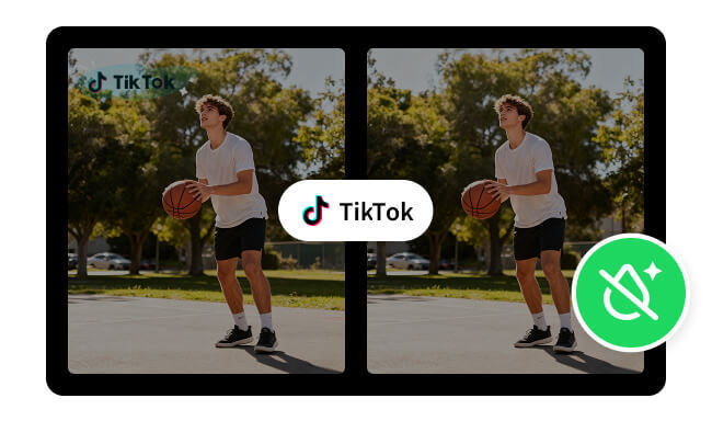 top tiktok video downloaders without watermark
