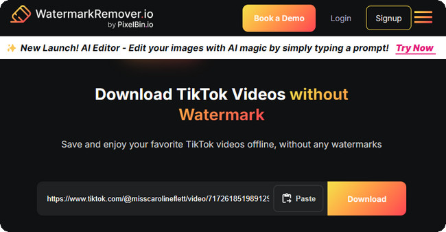 tiktok watermark remover