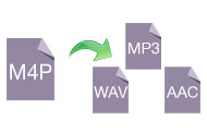 remove DRM and convert purchased and rented M4V files to smartphones, tablets etc.