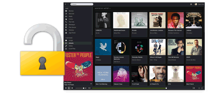 Spotify Music Converter for Windows - Remove DRM from Spotify Music