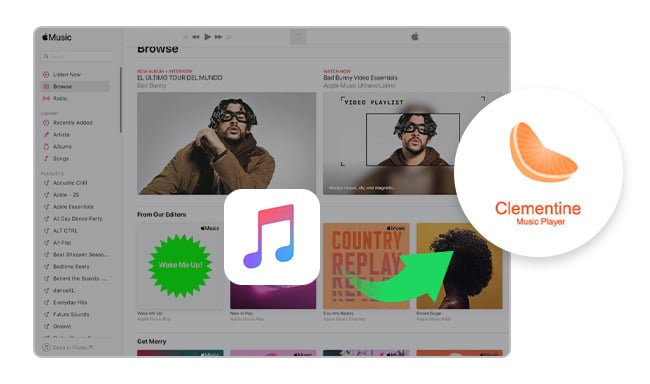 add apple music to clementine