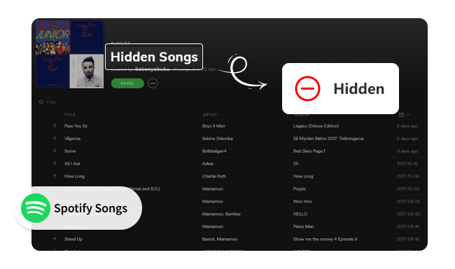 Find hidden songs on Spotify