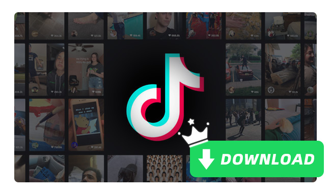 Download TikTok Songs to MP3
