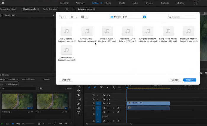 import youtube music to premiere pro