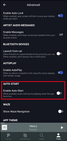 stop Spotify opening via AUTO-START