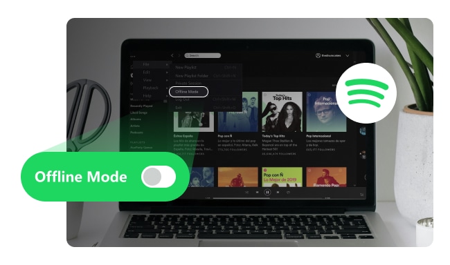 Turn off Offline Mode on Spotify