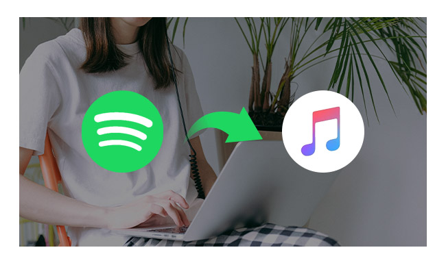 itunes vs spotify sound quality