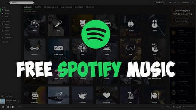 spotify can you download music