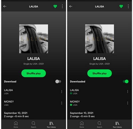 Listen to Spotify Offline with Premium on android