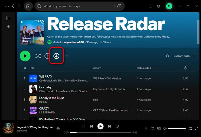 Listen to Spotify Offline with Premium on computer