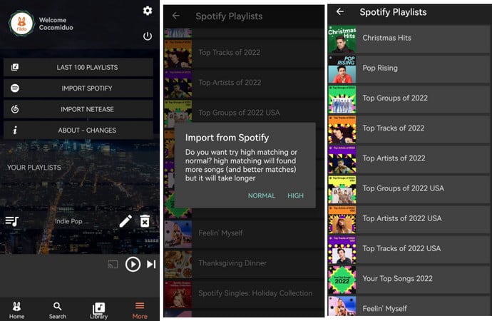 Listen to Spotify Offline without Premium on Fildo