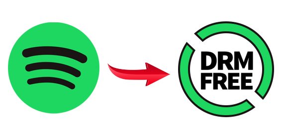 convert spotify to drm free format