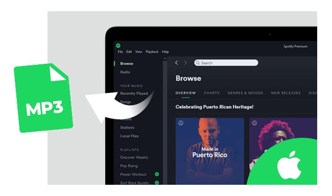 spotify to mp3 320kbps online