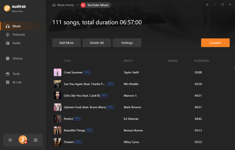 AudiFab YouTube Playlist Downloaderr