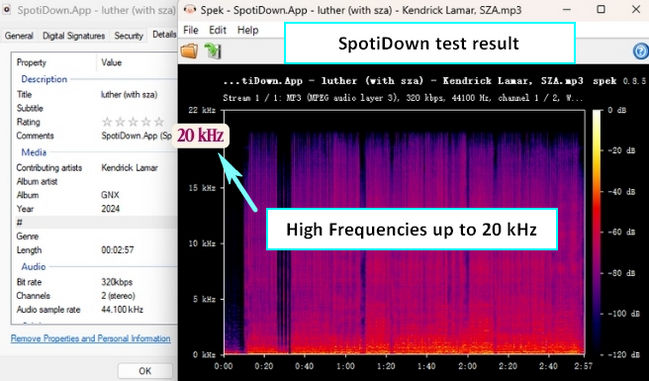Spotidown test result