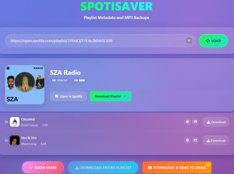 Spotisaver interface