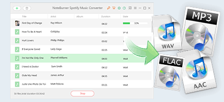 noteburner spotify music converter product key