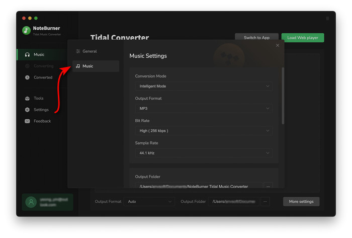 Settings for Tidal Music Downloader